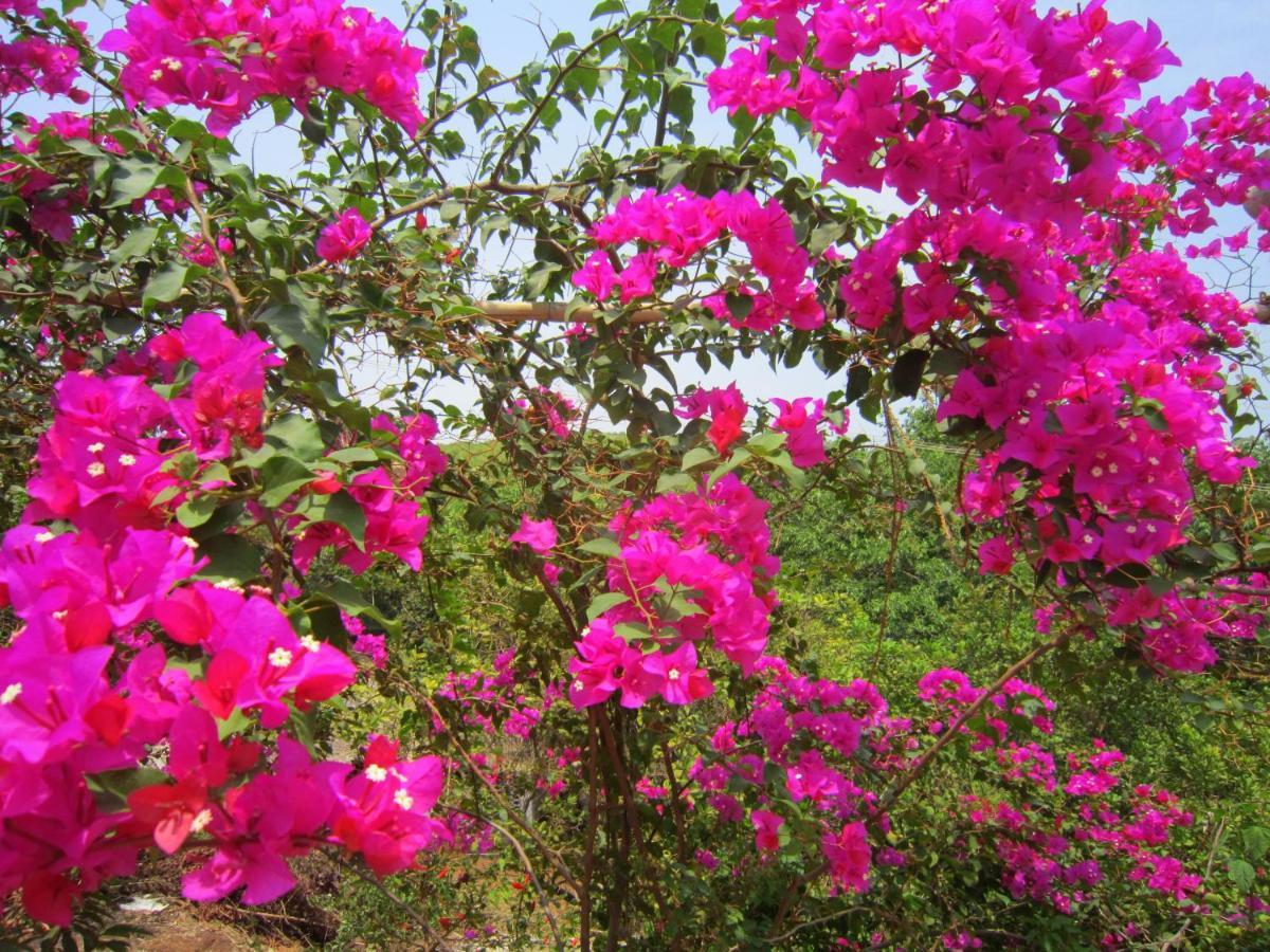 Namaste Yoga Farm Villa Gokarna  Eksteriør billede