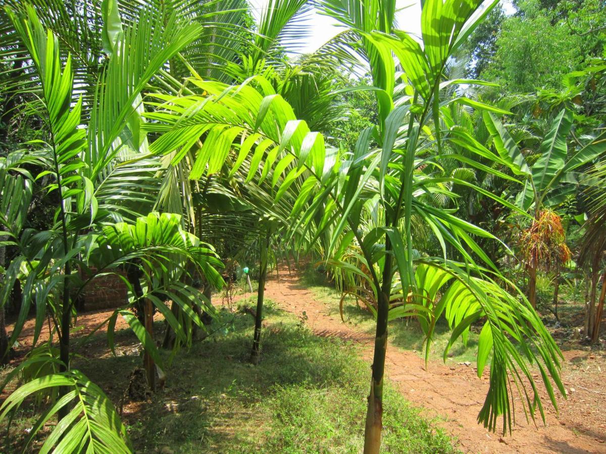 Namaste Yoga Farm Villa Gokarna  Eksteriør billede