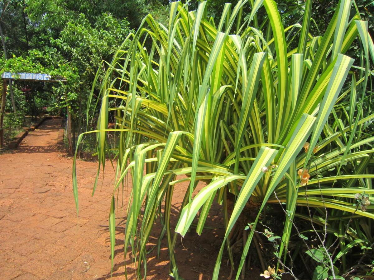 Namaste Yoga Farm Villa Gokarna  Eksteriør billede