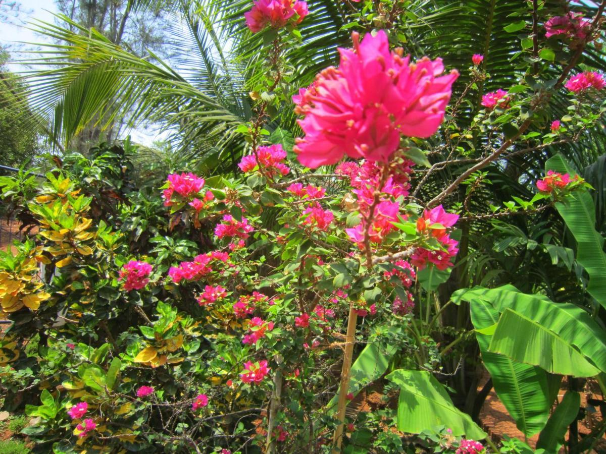 Namaste Yoga Farm Villa Gokarna  Eksteriør billede