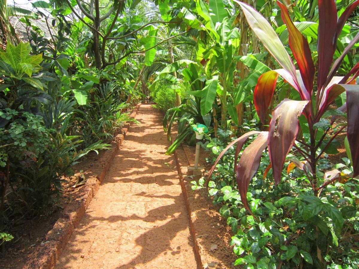 Namaste Yoga Farm Villa Gokarna  Eksteriør billede