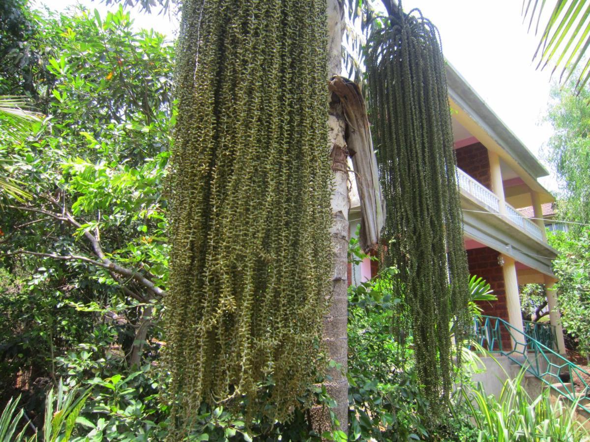 Namaste Yoga Farm Villa Gokarna  Eksteriør billede