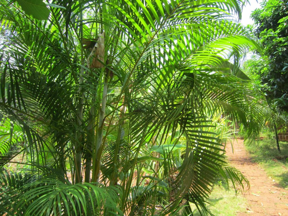 Namaste Yoga Farm Villa Gokarna  Eksteriør billede