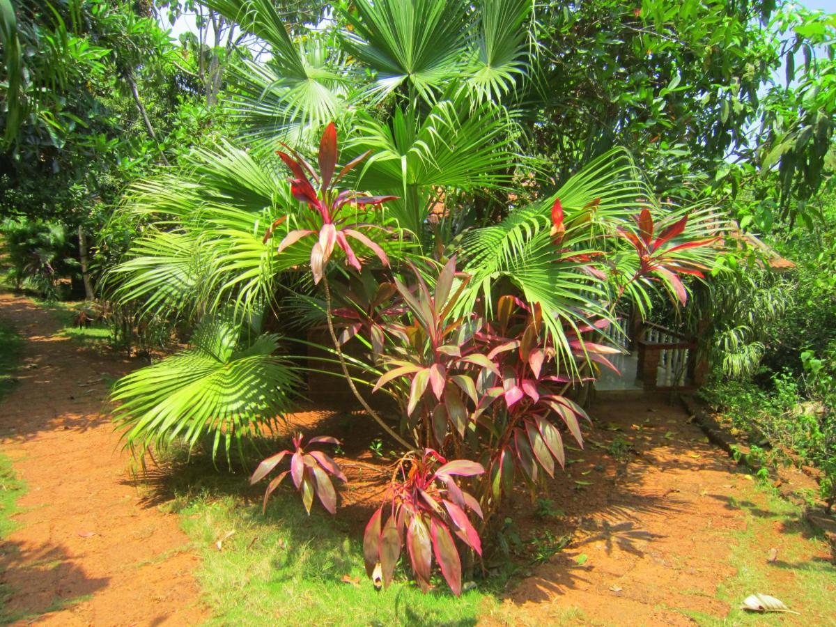 Namaste Yoga Farm Villa Gokarna  Eksteriør billede